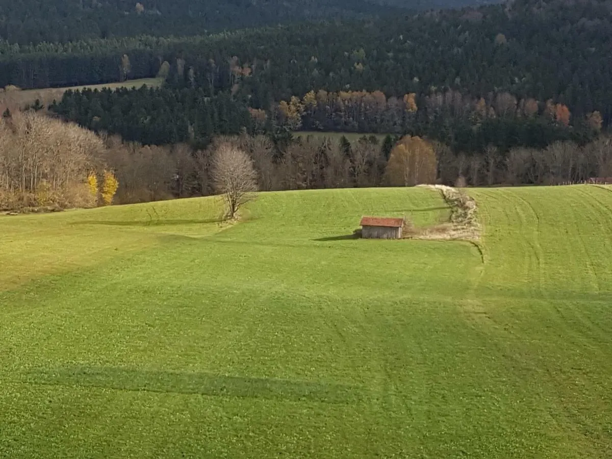 Ferienwohnung Gut Steinhügel Bischofsmais Apartment